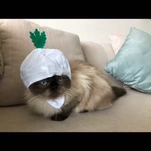 Meet your Posher, Jean